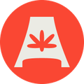 AVA Flower Co logo