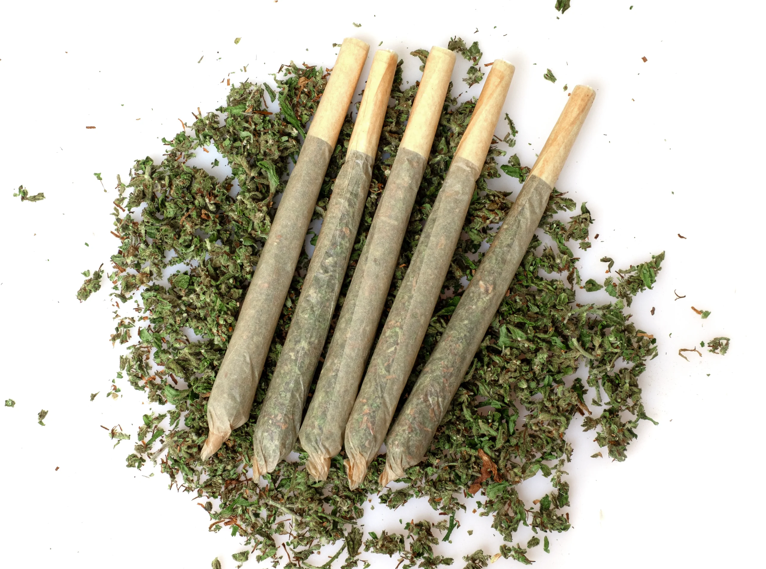Five rolled joints are arranged in a row on top of a pile of loose, dried cannabis leaves against a white background, showcasing premium products available through cannabis delivery NYC & Long Island, NY.