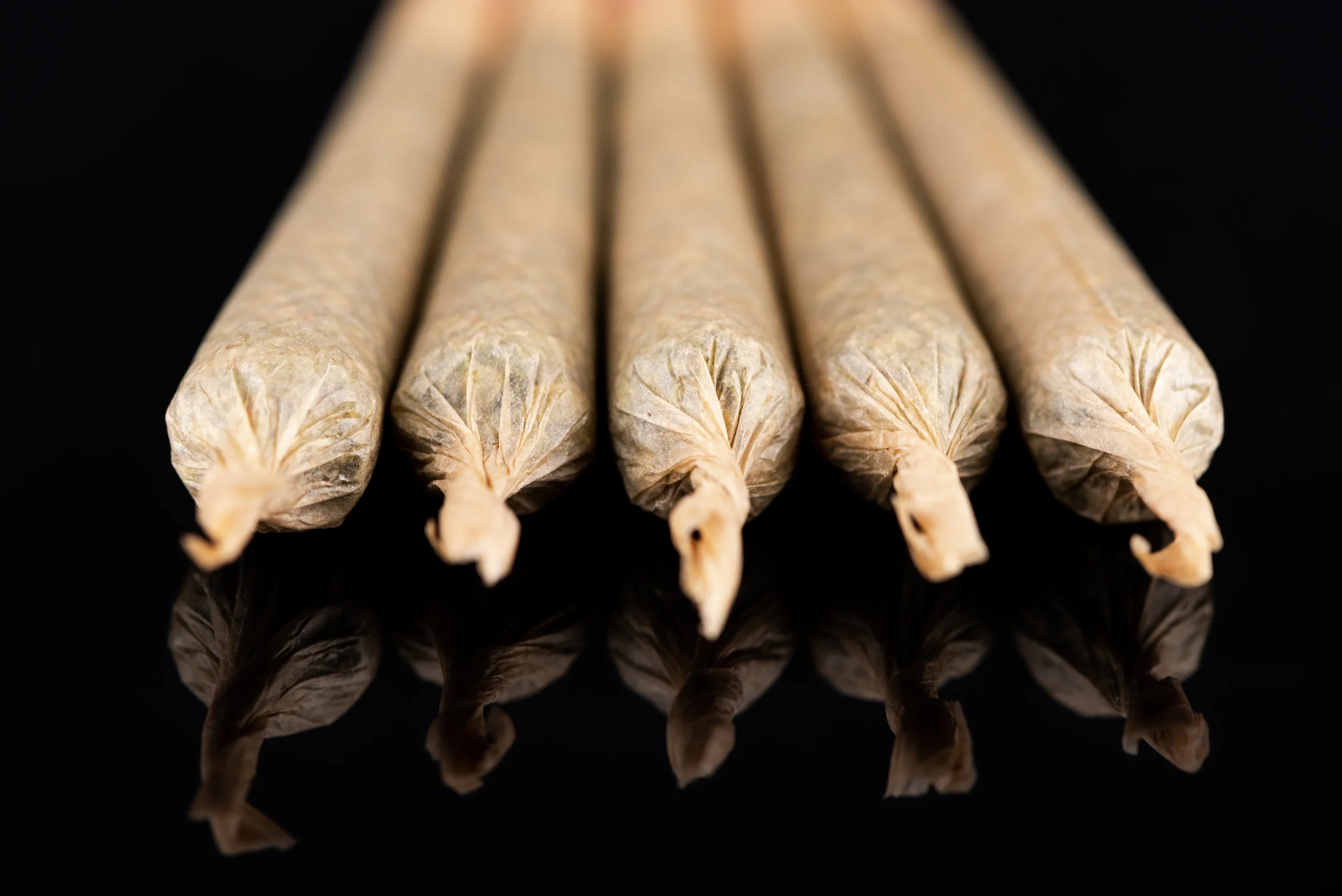 Five rolled joints are lined up in a row on a reflective black surface, their twisted ends facing forward and mirrored below—perfectly capturing the premium selection available through cannabis delivery NYC & Long Island, NY.