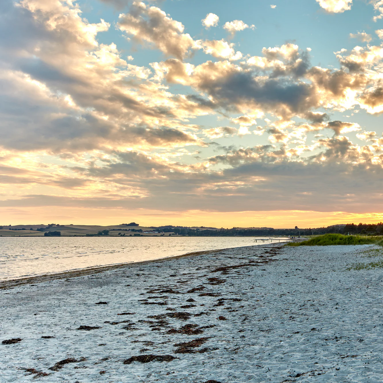 Elevating Your Beach Day: Why Jones Beach Locals Choose BringMeWeed