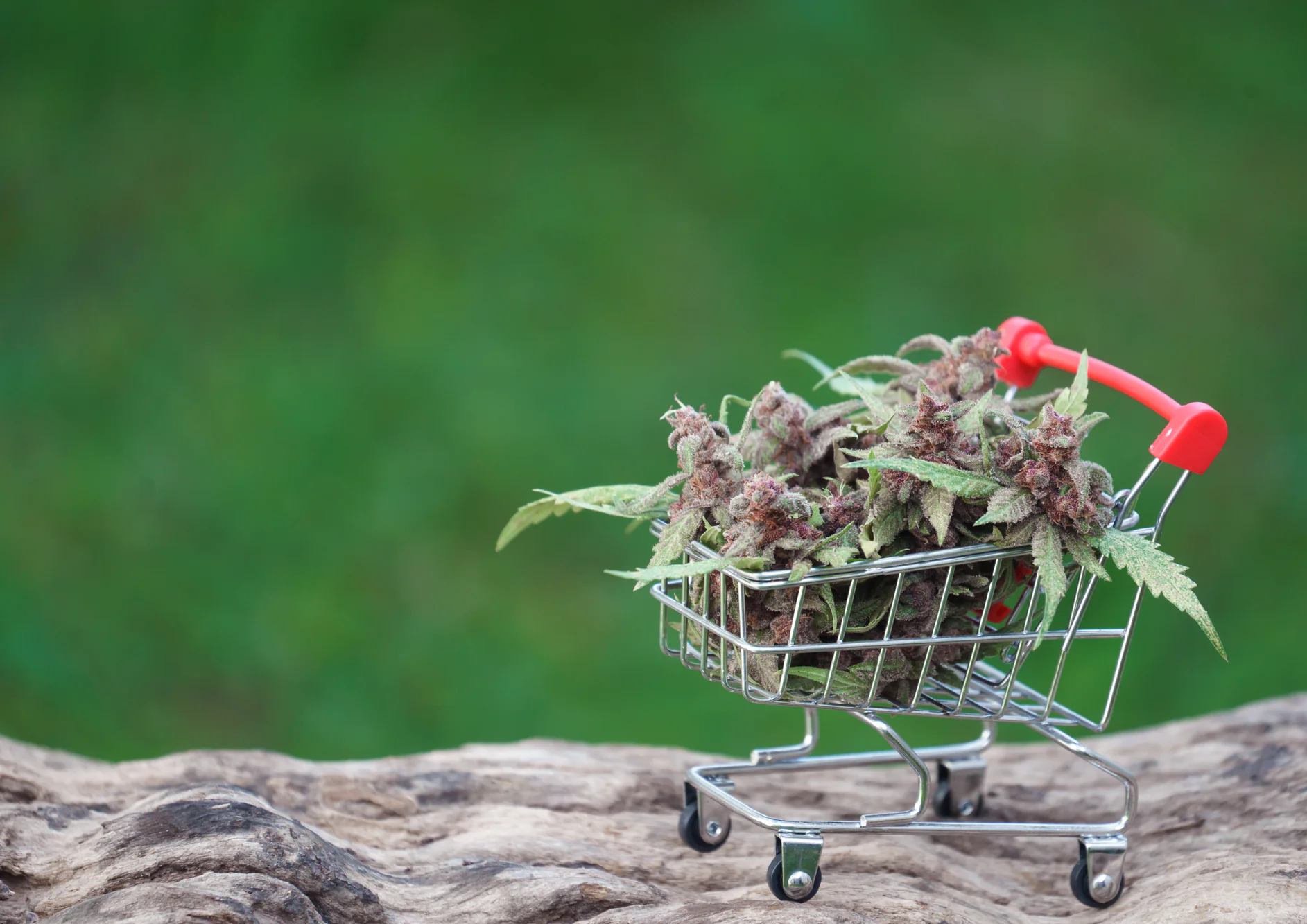 A small shopping cart filled with cannabis buds sits on a textured wooden surface, with a blurred green background.