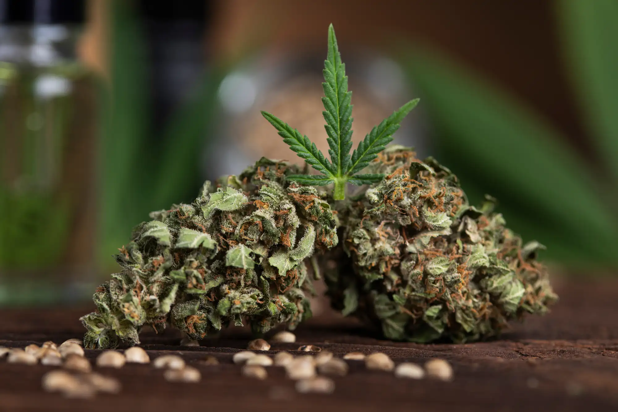 Close-up of two cannabis buds with a small cannabis leaf on top, surrounded by several seeds on a wooden surface. The background is blurred with green foliage.