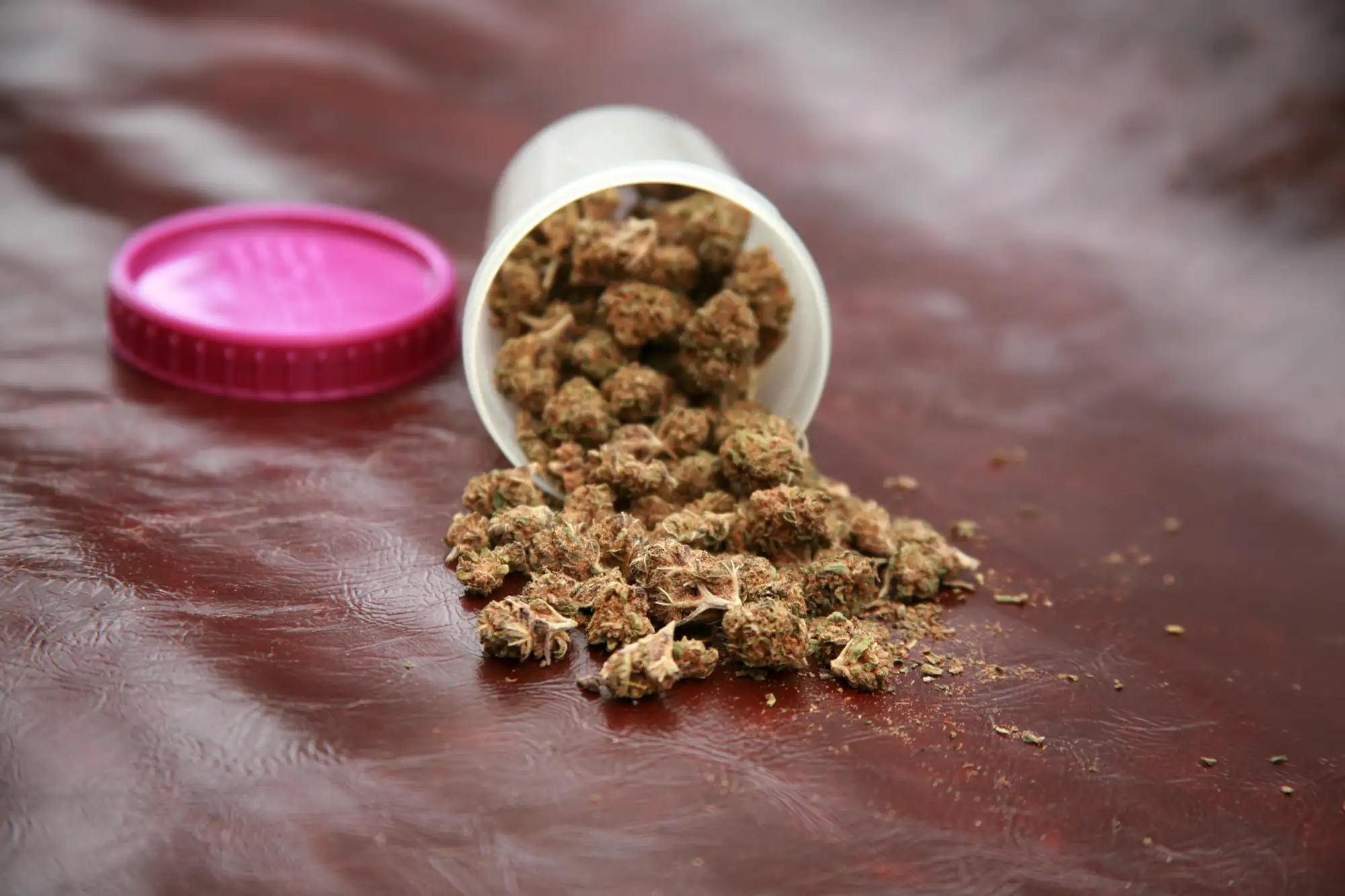A white plastic container with a pink lid is tipped over on a brown surface, spilling dried cannabis buds onto the table.
