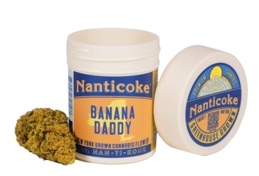 A container labeled "Nanticoke Banana Daddy" New York grown cannabis flower is shown with its lid off and a cannabis bud beside it. The lid displays the Nanticoke logo and the words "Greenhouse Grown.