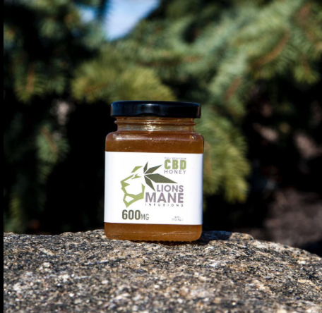 A jar of CBD honey labeled "Lions Mane Infusions, 600 MG" sits on a textured stone surface, with green pine tree branches blurred in the background.