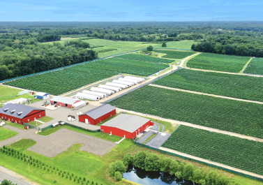 Aerial view of a large agricultural farm with green fields, red barns, several white greenhouses, and a pond in the foreground, surrounded by trees and a road.