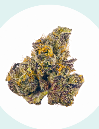 A close-up of a single cannabis bud with visible orange hairs and green, purple, and frosty white coloring, displayed on a white background with a pale blue border.