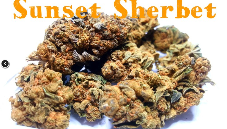 Sunset Sherbet Indica