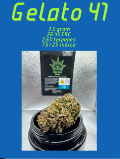 Gelato 41