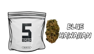 A labeled bag reading "5 Boro" sits next to a cannabis bud and the text "Blue Hawaiian" in bold, stylized letters on a white background.
