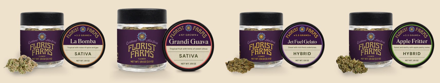 Four jars of cannabis from Pūrists Farms, each with matching lids and buds in front: La Bomba (Sativa), Granát Guava (Sativa), Jet Fuel Gelato (Hybrid), and Apple Fritter (Hybrid), on a beige background.