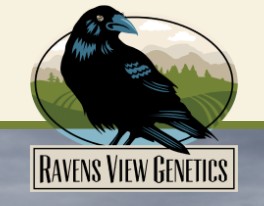 Ravens View Genetics
