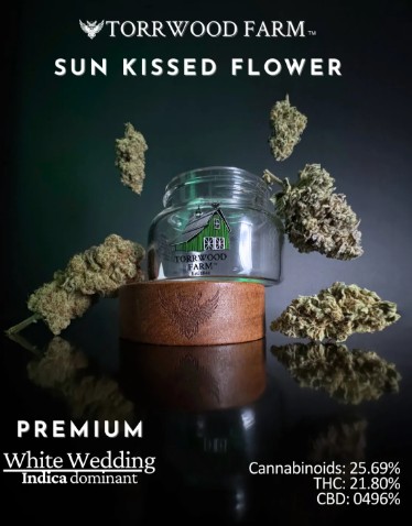 A glass jar labeled "Torrwood Farm" sits on a wooden base, surrounded by cannabis buds. Text reads: "Sun Kissed Flower, Premium White Wedding, Indica dominant. Cannabinoids: 25.69%, THC: 21.80%, CBD: 0.496%.