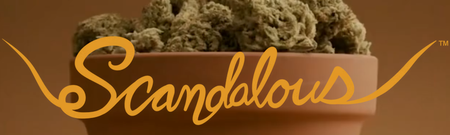 Scandalous Chocolates