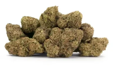 Bananaconda