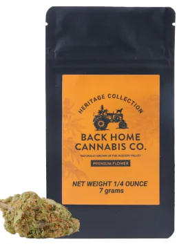 Acapulco Gold 7G Pouch