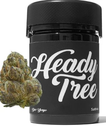 A black "Heady Tree" cannabis jar sits with a fresh marijuana bud in front, highlighting the brand.