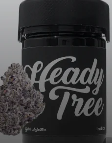 Heady Tree 3.5G Jars