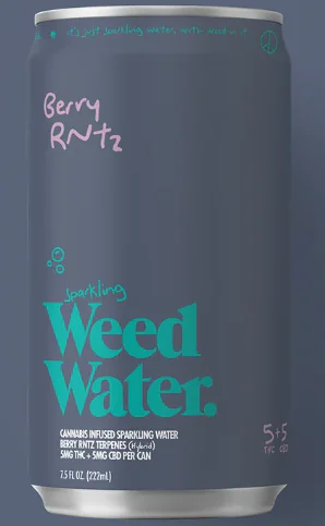 HEMP BERRY RNTZ SELTZER (4-PACK)