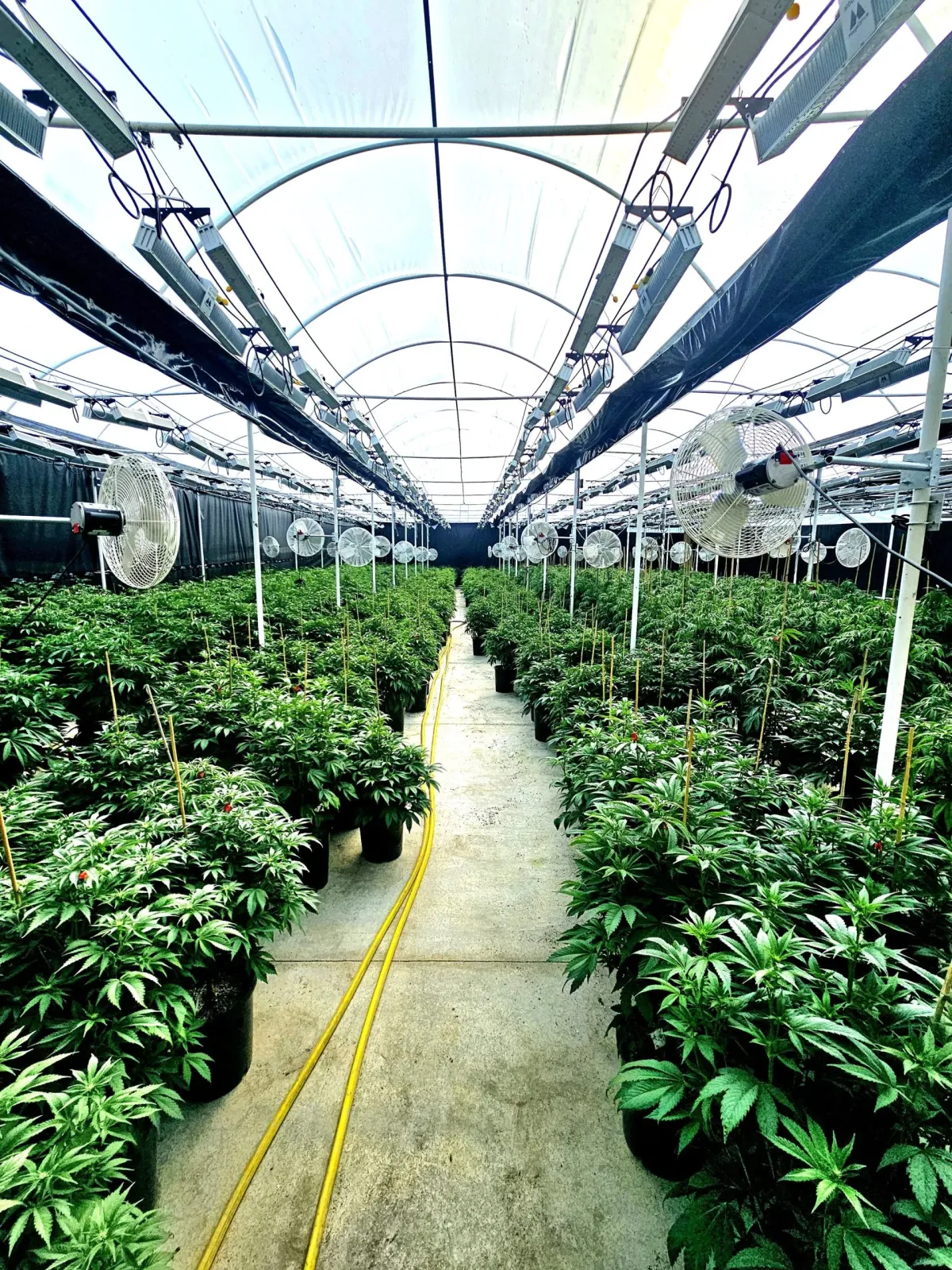Hudson Valley Jane climate-controlled cannabis greenhouse in Ancram, NY
