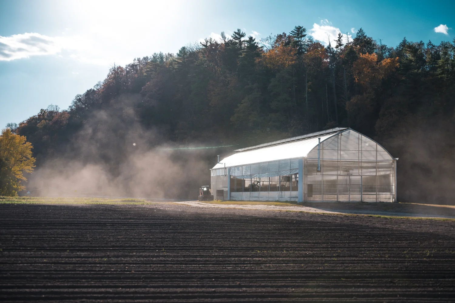 Hurley Grown cannabis farm on the Hurley Flats